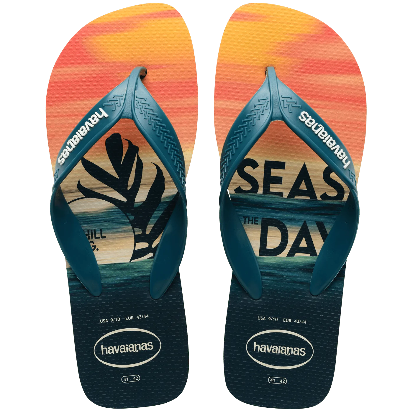 Sandalias Havaianas Surf NE 4000047