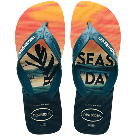 Sandalias Havaianas Surf NE 4000047